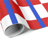 Patriottische geruite strook inpakpapier (Rol Hoek)