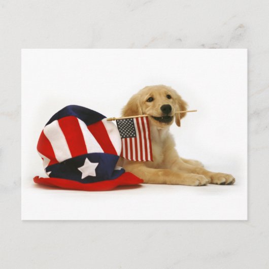 Patriottische gouden puppy briefkaart (Voorkant)