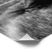 Patriottische groep Vrouwen Amerikaanse vlag 1910 Foto Afdruk (Hoek)