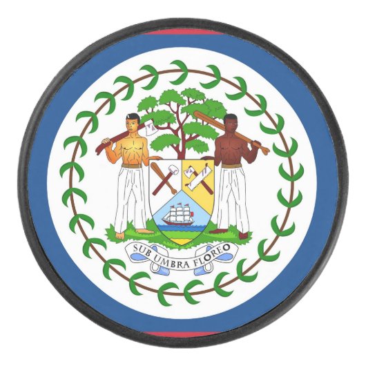 Patriottische hockeypuck met vlag van Belize Hockey Puck (Voorkant)