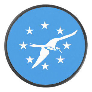 Patriottische hockeypuck met vlag van Corpus Chris Hockey Puck