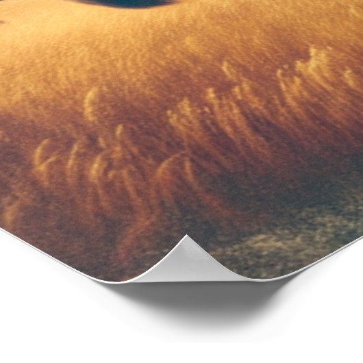 Patriottische Jezus Amerikaanse Christelijke Bijbe Poster (Hoek)