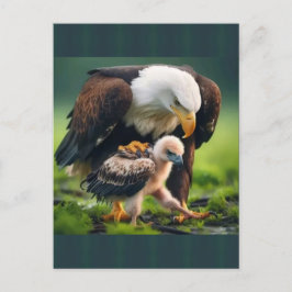Patriottische Kale Eagle Vaderdag Wildlife Gift Feestdagenkaart