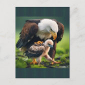 Patriottische Kale Eagle Vaderdag Wildlife Gift Feestdagenkaart (Voorkant)