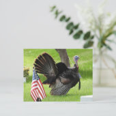 Patriottische kalkoen parade briefkaart (Staand voorkant)