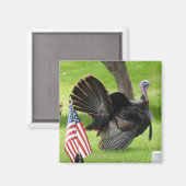 Patriottische kalkoen parade magneet (Voorkant / Achterkant)