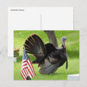 Patriottische kalkoen paradeert briefkaart (Voorkant / Achterkant)