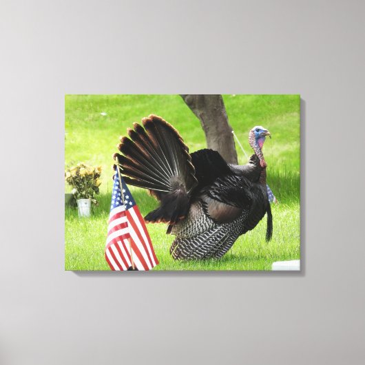 Patriottische kalkoen paradeert canvas afdruk (Voorkant)
