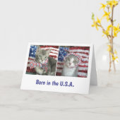 Patriottische katjes kaart (Gele Bloem)