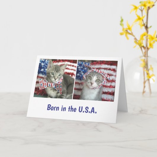 Patriottische katjes kaart (Gele Bloem)