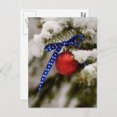 Patriottische kerst feestdagenkaart (Voorkant / Achterkant)