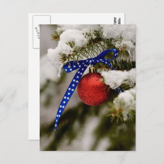 Patriottische kerst feestdagenkaart (Voorkant / Achterkant)