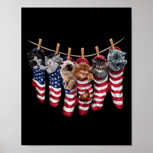 Patriottische Kittens In Amerikaanse Vlag Soks Gra Poster (Voorkant)