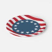 Patriottische koloniale Amerikaanse VS Papieren Bordje (Gekanteld)