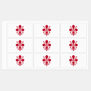 Patriottische labels met de vlag van Florence