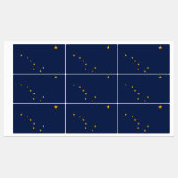 Patriottische labels met vlag van Alaska State, Ve