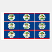 Patriottische labels met vlag van Belize (Vel)