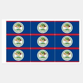 Patriottische labels met vlag van Belize