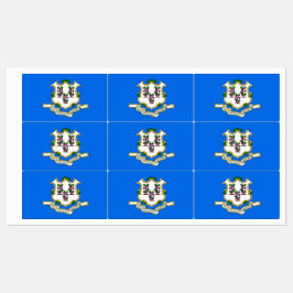 Patriottische labels met vlag van Connecticut Stat