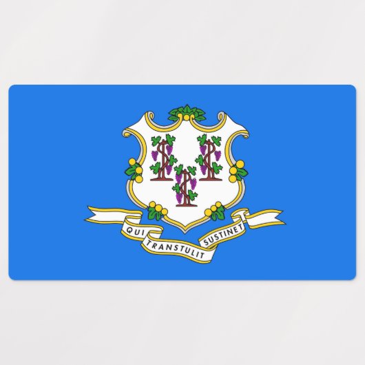 Patriottische labels met vlag van Connecticut Stat (Design 1)