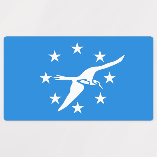 Patriottische labels met vlag van Corpus Christi (Design 2)