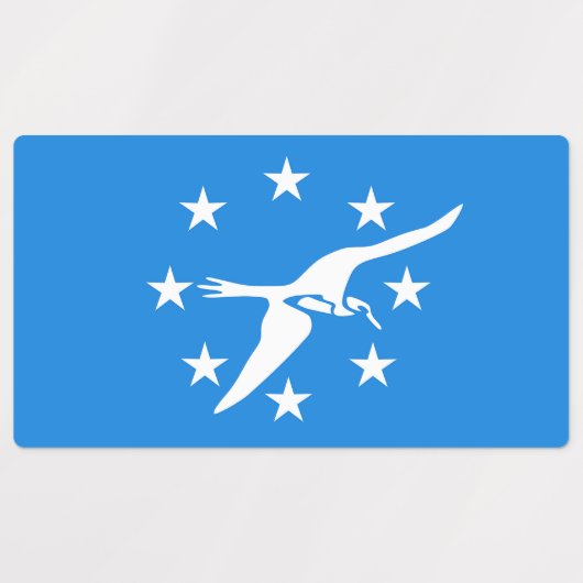 Patriottische labels met vlag van Corpus Christi (Design 1)