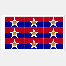 Patriottische labels met vlag van Dallas City