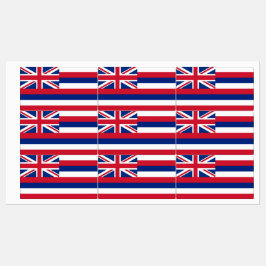 Patriottische labels met vlag van Hawaï