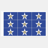 Patriottische labels met vlag van Houston City (Vel)