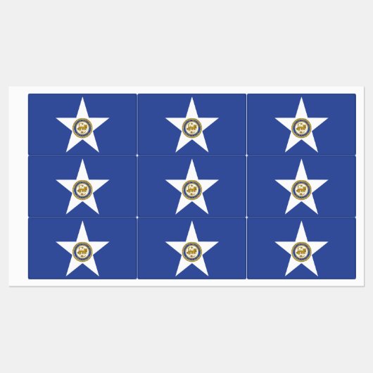 Patriottische labels met vlag van Houston City (Vel)