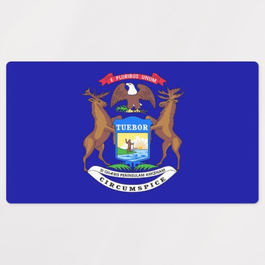 Patriottische labels met vlag van Michigan State (Design 2)