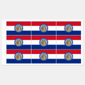 Patriottische labels met vlag van Missouri State (Vel)