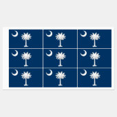 Patriottische labels met vlag van South Carolina S (Vel)