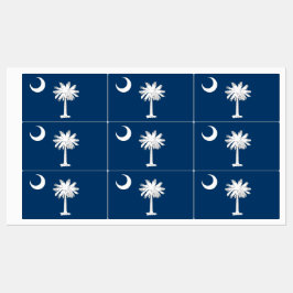 Patriottische labels met vlag van South Carolina S