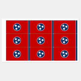 Patriottische labels met vlag van Tennessee