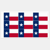Patriottische labels met vlag van Texas (Vel)