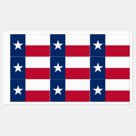Patriottische labels met vlag van Texas