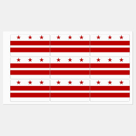 Patriottische labels met vlag van Washington DC