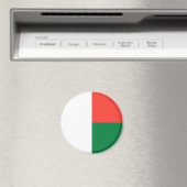 Patriottische Madagaskar-vlag Magneet (Insitu (Vaatwasser))
