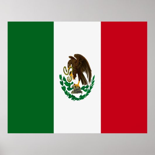 Patriottische Mexico vlag Poster (Voorkant)