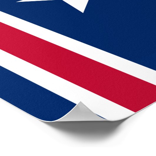 Patriottische Nautical Anchor Flag Poster (Hoek)