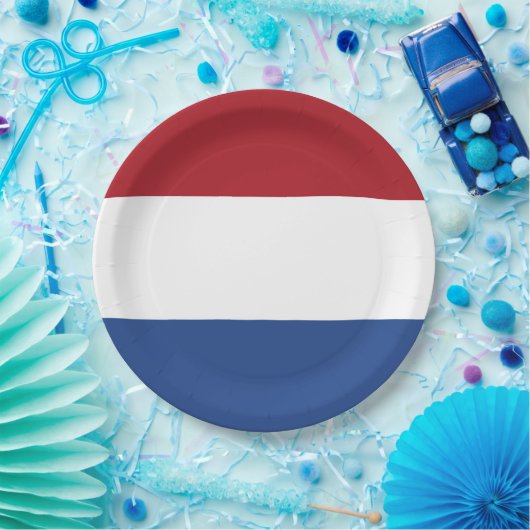 Patriottische Nederlandse vlag Papieren Bordje (Feest)