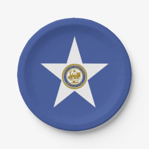 Patriottische papieren bord met vlag van Houston