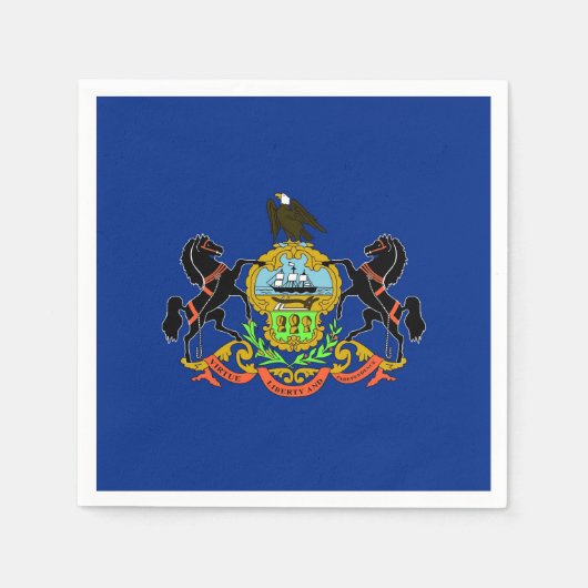 Patriottische papieren servetten met Pennsylvania  (Voorkant)