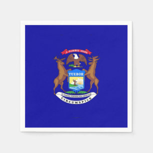 Patriottische papieren servetten met vlag van Mich