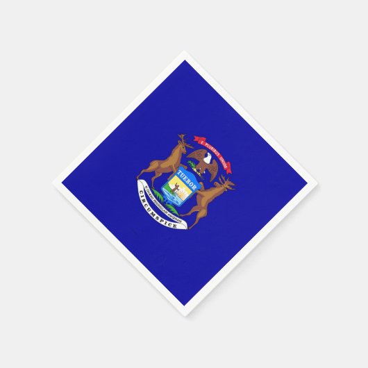 Patriottische papieren servetten met vlag van Mich (Hoek)