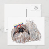 Patriottische Pekingees kaart (Voorkant / Achterkant)