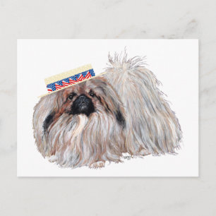 Patriottische Pekingese Kaart