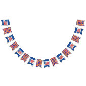 Patriottische Pickleball Rood Wit Blauw Amerikaans Vlaggetjes (Alle)