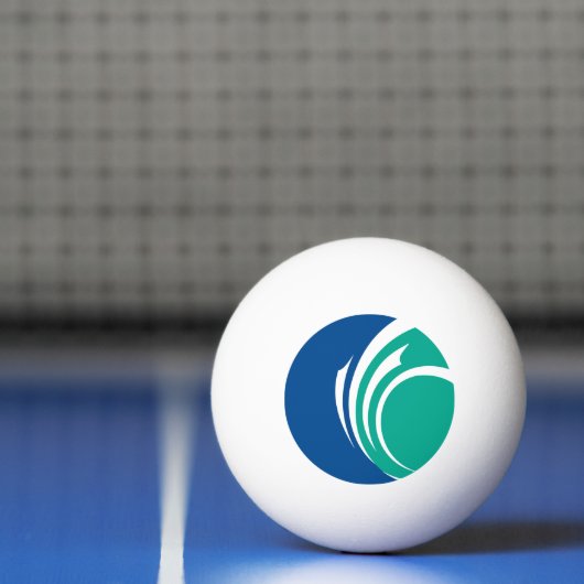 Patriottische pingpongbal met vlag van Ottawa (Net)